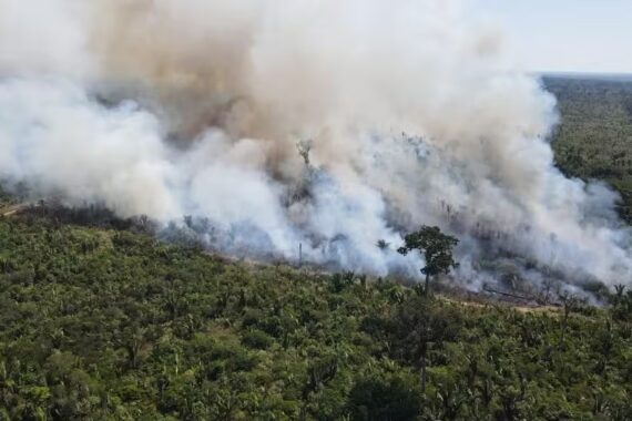 OAB Rondônia junta-se ao MPF em ACP por urgência na contratação de brigadistas para combate aos incêndios no Estado